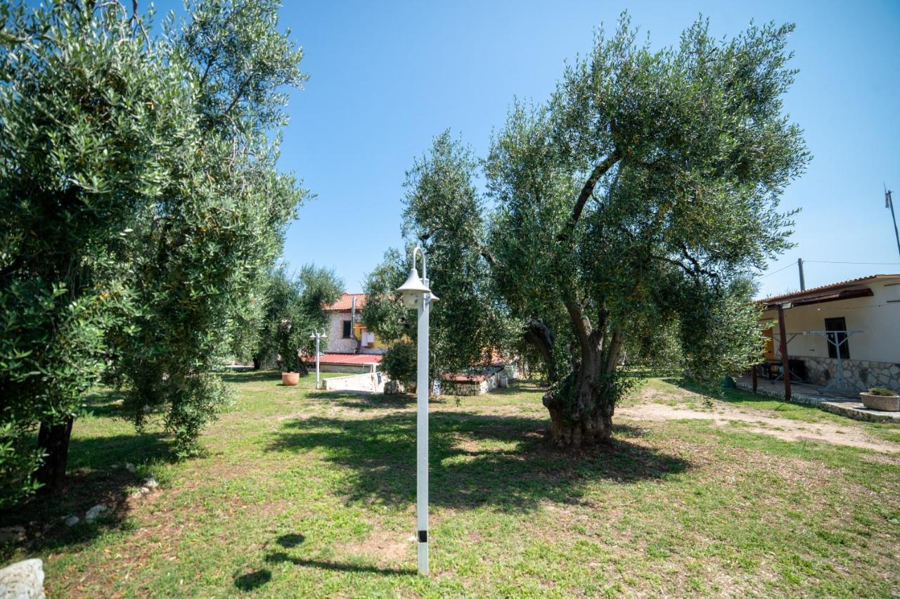Bed and Breakfast Coppola Rossa Relax Vieste Exterior foto